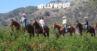 Things to do in Hollywood