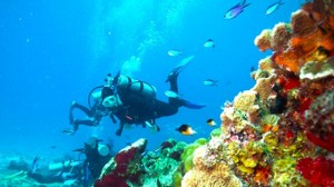 things to do in Cozumel