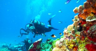 things to do in Cozumel
