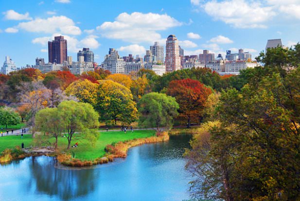 Things to do in NY Central Park