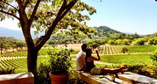 Things to do in Napa