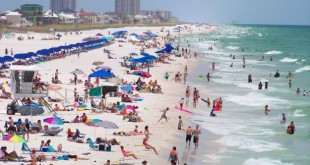 Things to do in Pensacola FL