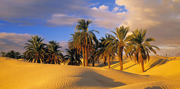 Things to do in Tunisia