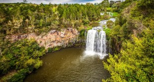 things to do in Coffs Harbour 3