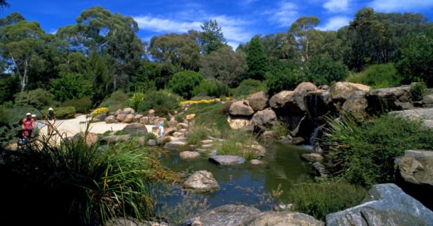 Things to do in Canberra Australian National Botanic Gardens