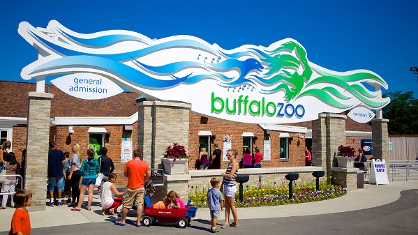 Things to do in Buffalo NY Buffalo Zoo