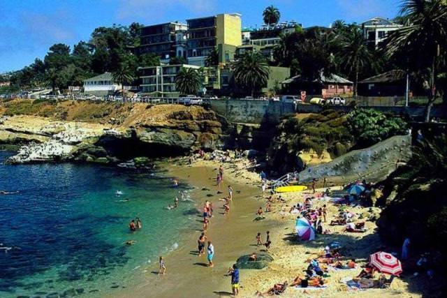 Things to do in San Diego La Jolla Beach