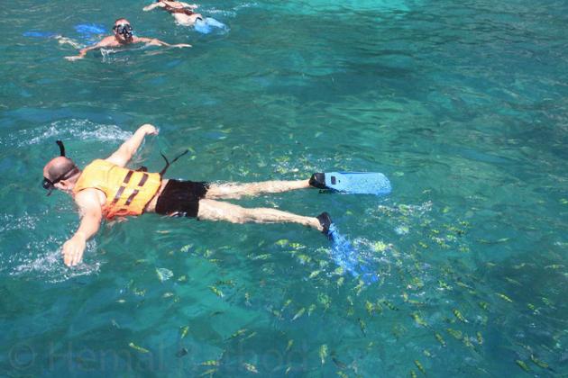 Things to do in Phuket Snorkeling