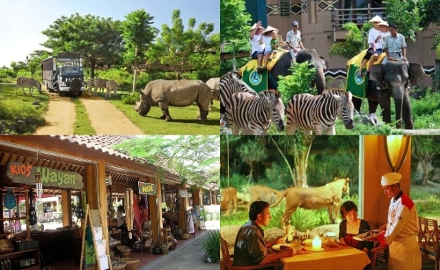 Things to do in Bali Bali Safari & Marine Park