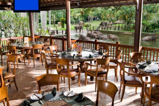 Things to do in Bali Elephant Safari Park Lodge