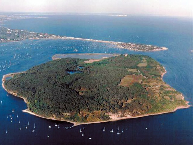 Things to do in Bournemouth brownsea island