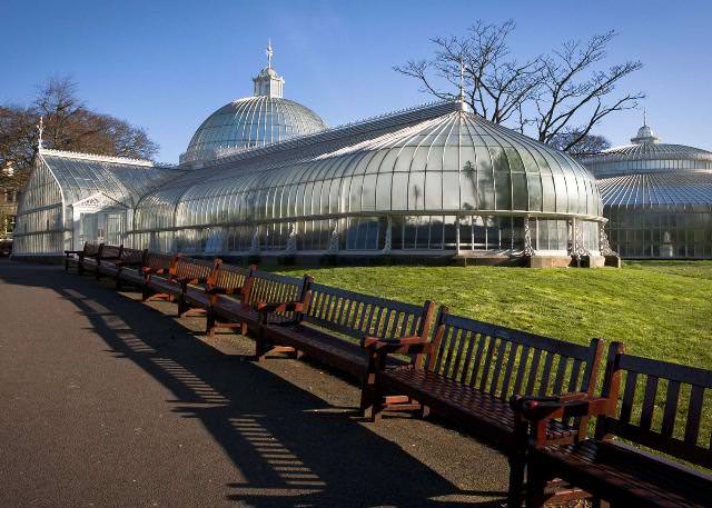 Things to do in Glasgow Glasgow Botanic Gardens