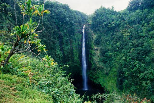 Things to do in Hawaii Akaka Falls State Park