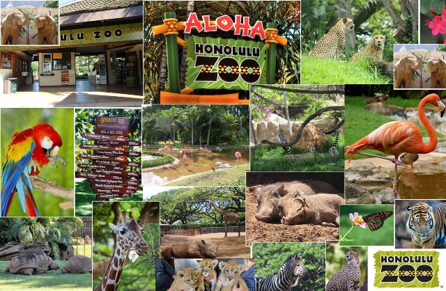 Things to do in Hawaii Honolulu Zoo