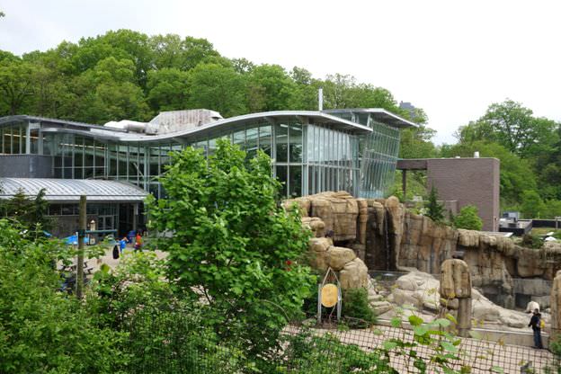 Things to do in Pittsburgh Pittsburgh Zoo & Aquarium