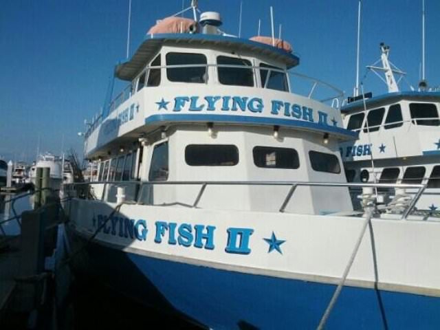 Things to do in Sarasota Flying Fish Fleet Deep Sea Fishing