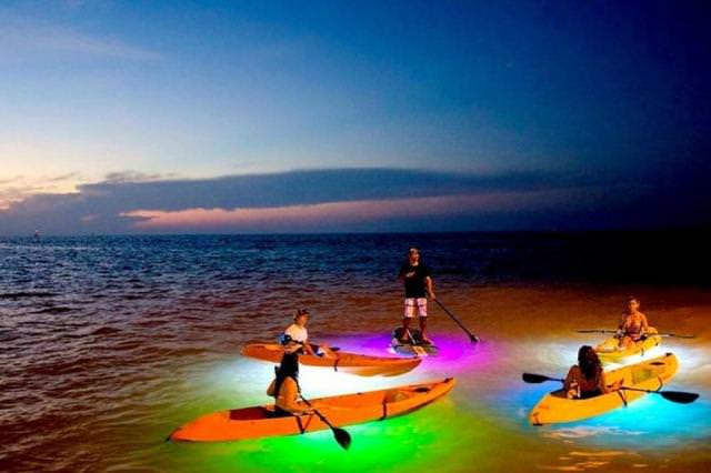 Things to do in Sarasota Siesta Key Water sports & Paddle boards