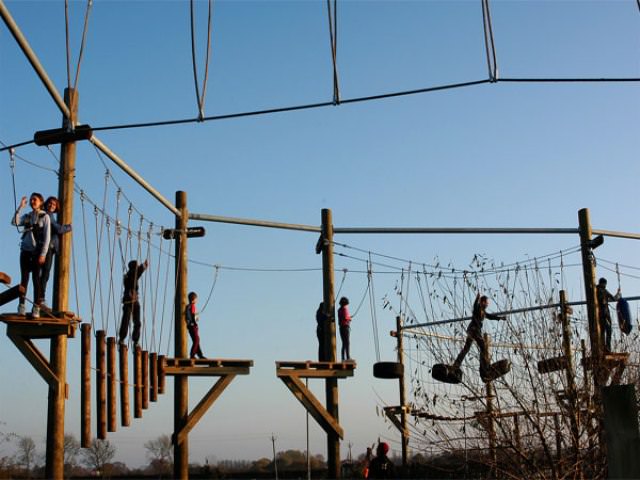 Things to do in York The Web Adventure Park