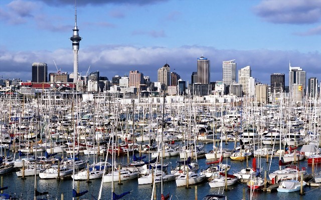 Things to do in Auckland waitemata harbour