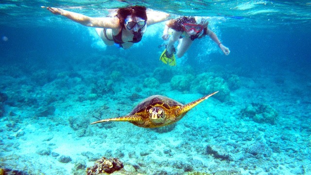 Things to do in Belize Snorkelling