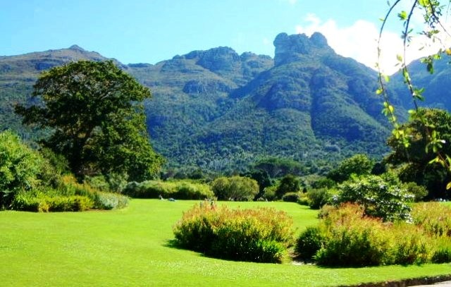 Things to do in Cape Town Kirstenbosch