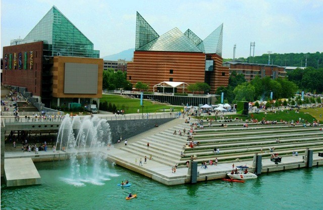 Things to do in Chattanooga TN aquairum