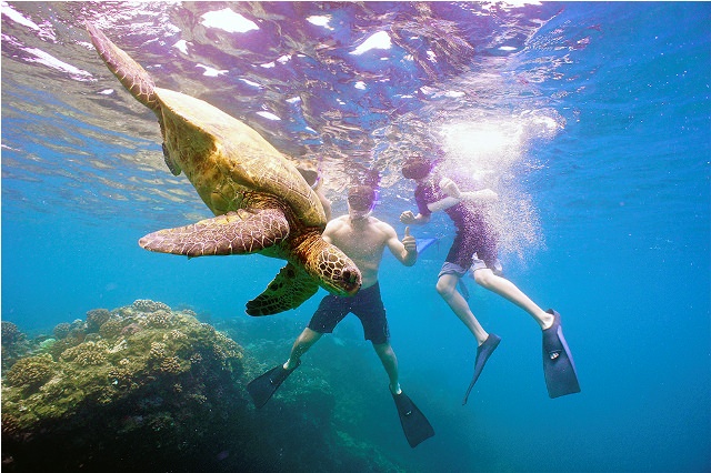 Things to do in Maui Snorkeling