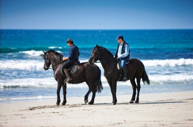 Things to do in Menorca explore menorca on horse back