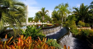 Things to do in Naples, Florida