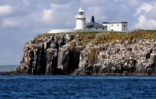 Things to do in Northumberland farne island