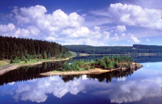 Things to do in Northumberland kielder water and forest park