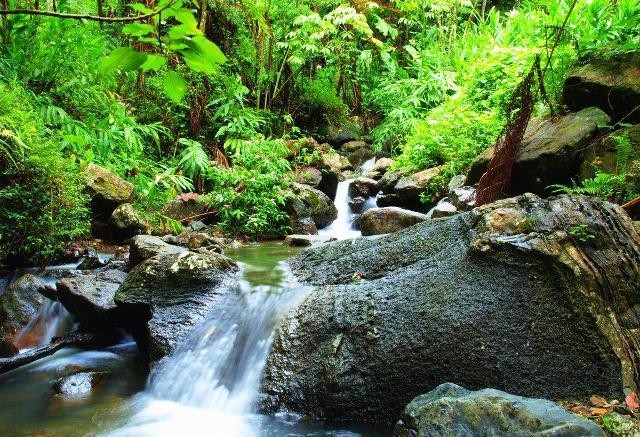 Things to do in San Juan El Yunque National Forest
