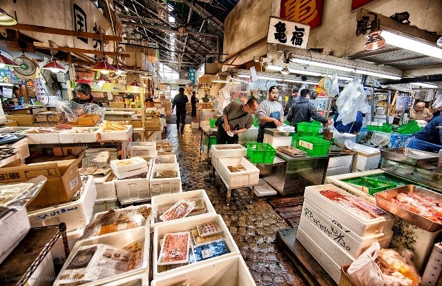 Things to do in Tokyo Japan Tsukiji Fish Market
