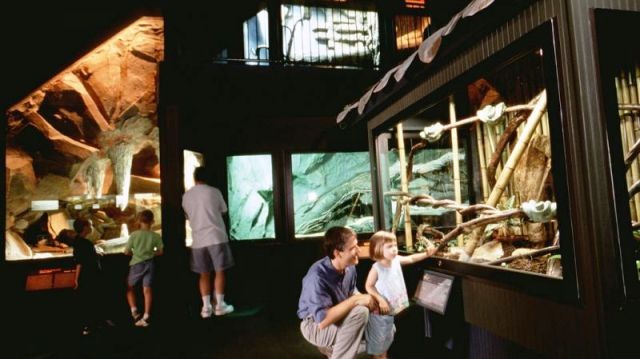 Things to do in Wilmington, NC cape fear serpentarium