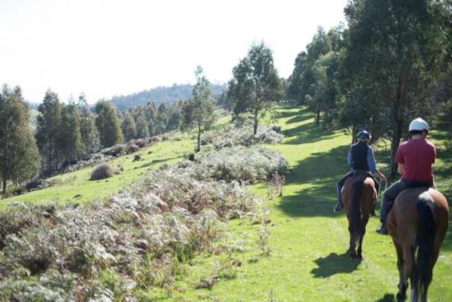 things to do in hobart horse riding