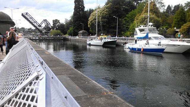 Seattle Things to do chittenden locks