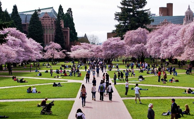 Seattle Things to do university of washington