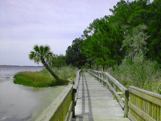 things to do in jacksonville hiking