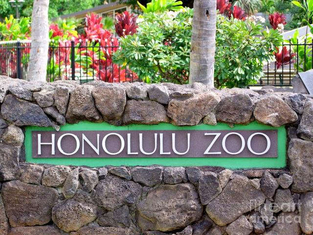 things to do in waikiki honolulu zoo